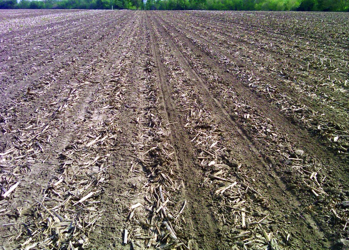 Field after running the dual wheel fertilizer with twister closing wheel