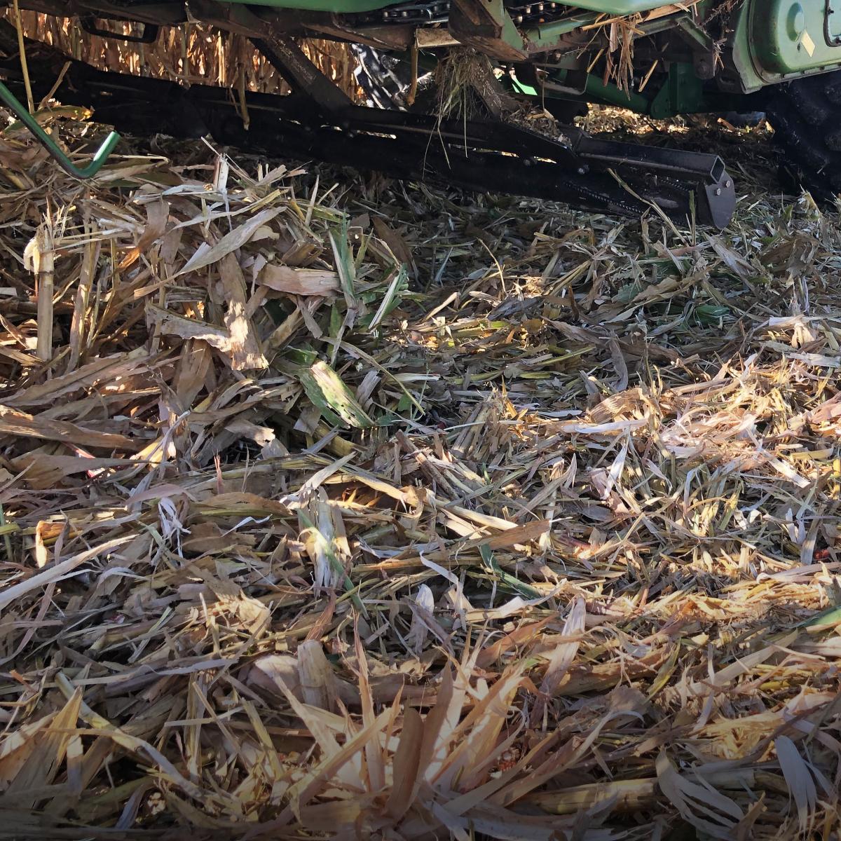 On the left, cornstalks stand before being crimped by the Devastator. Under the head, stalks are knocked over  to touch the ground.