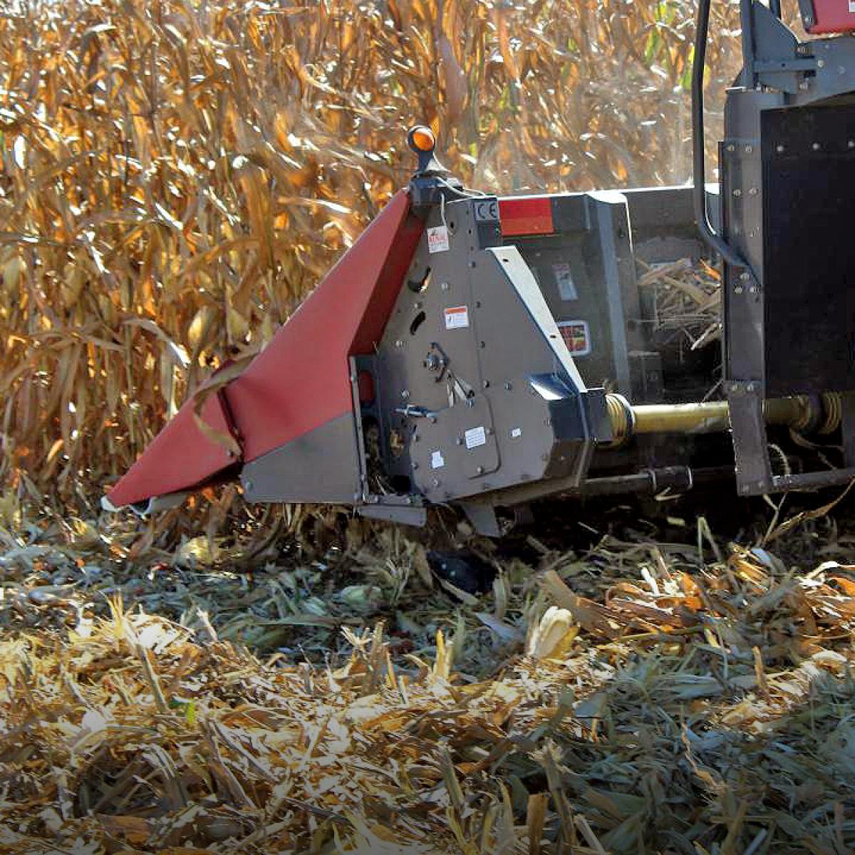Devastator installed on red corn head knocking over stalks in the field