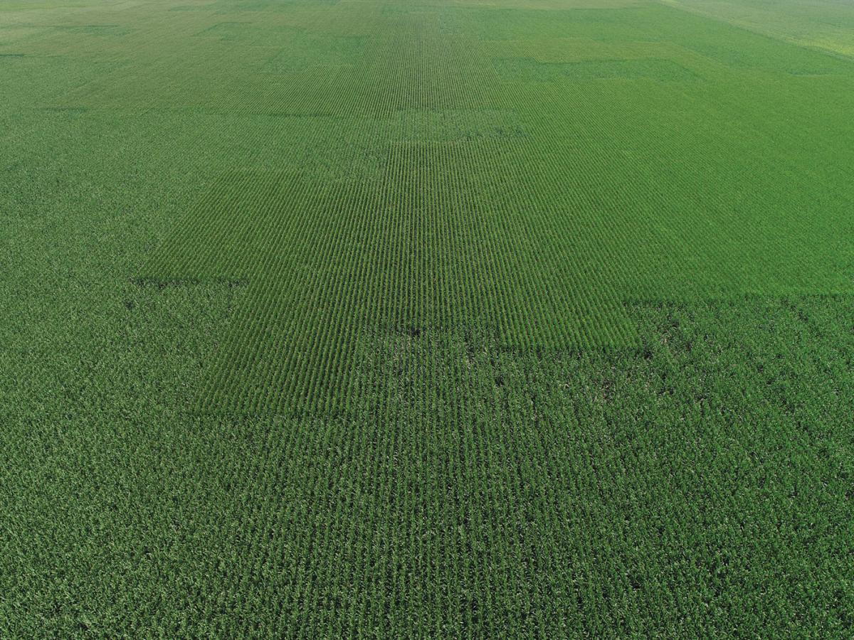 Aerial view of a field with a section replanted using ReSweep