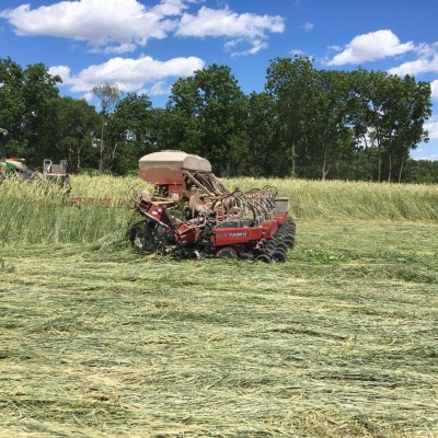 5500 Cover crop roller in tall cover crops 